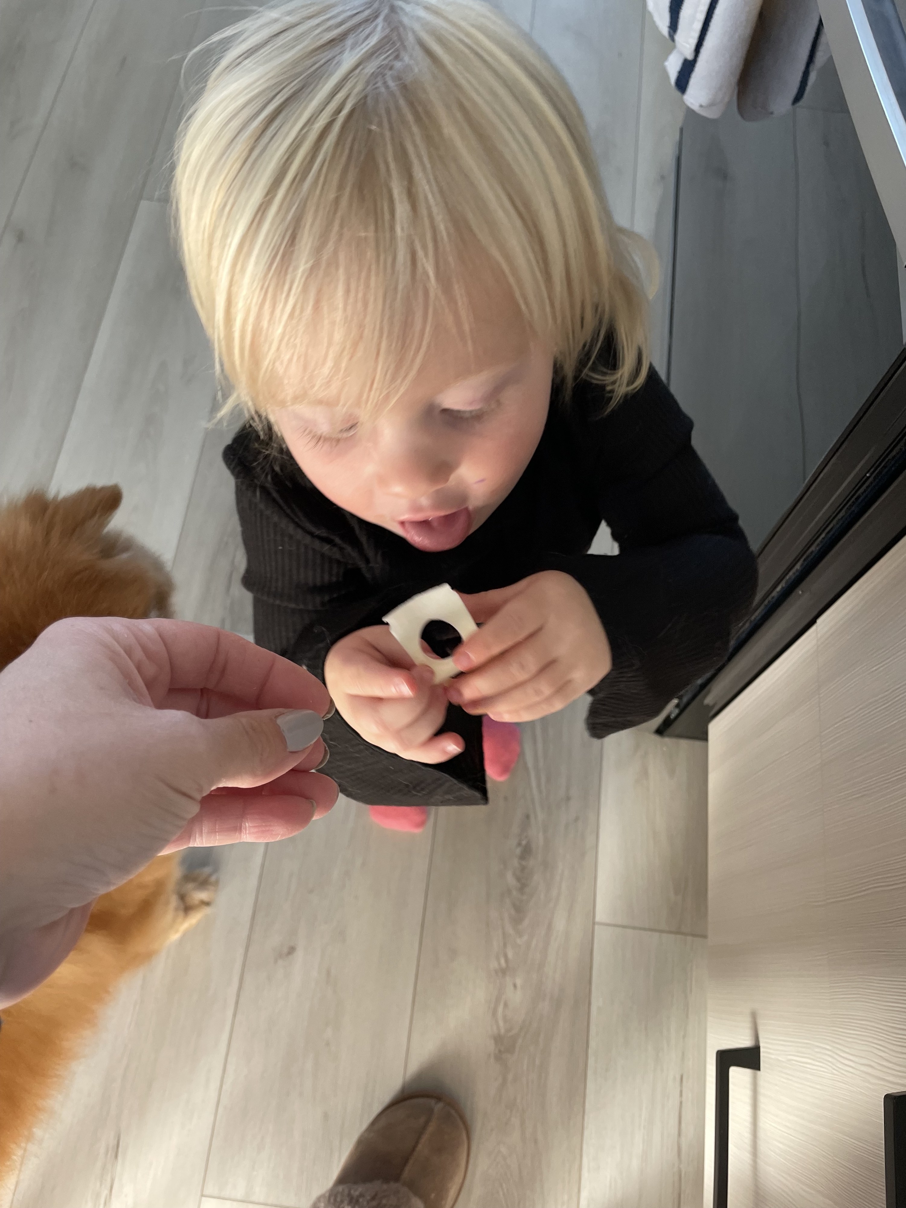 the author&#x27;s daughter with a piece of cheese